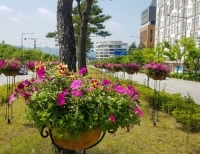 기사이미지