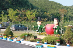 기사이미지